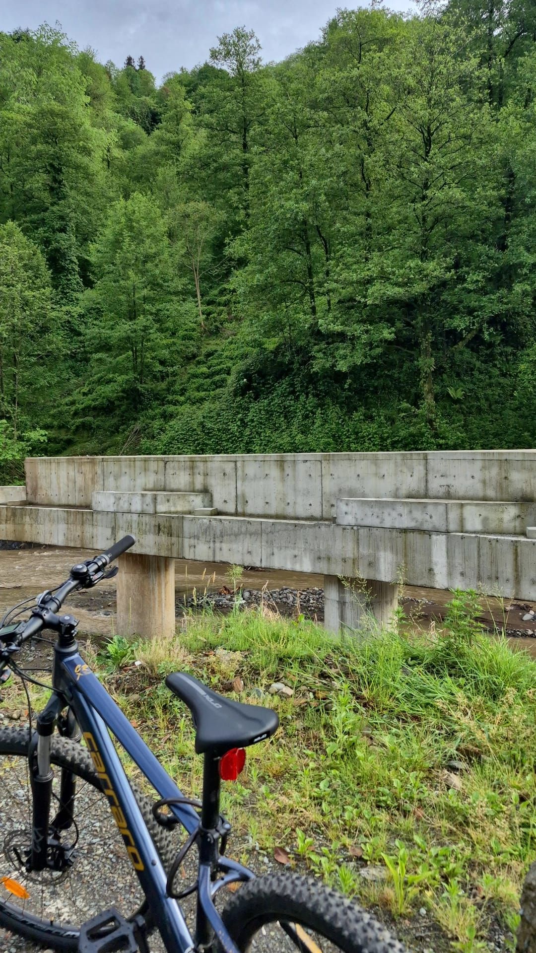 Nehir kenarına park edilmiş koyu mavi bir bisiklet, yanından geçen alçak bir beton duvar ve arka planda yoğun bir orman